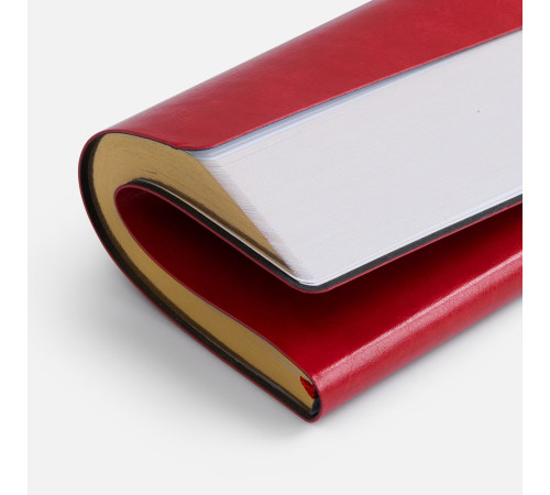 Ежедневник Nebraska Flex, недатированный, красный с золотистым