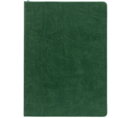 Ежедневник New Latte, недатированный, зеленый