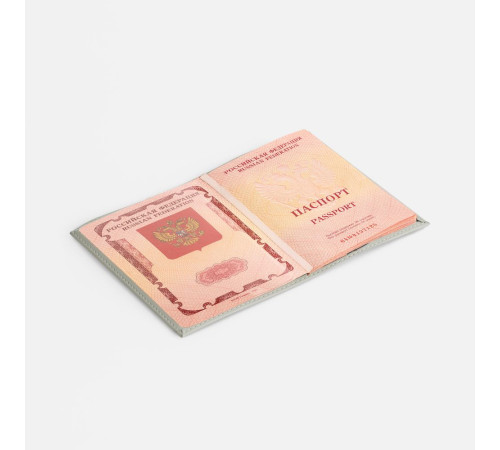Обложка для паспорта Shall, ver. 2, серая
