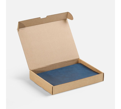 Ежедневник Apache, недатированный, синий