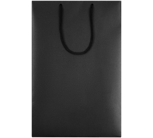 Пакет бумажный «Блеск», средний, черный
