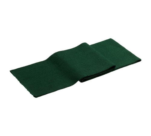 Шарф Stout, зеленый