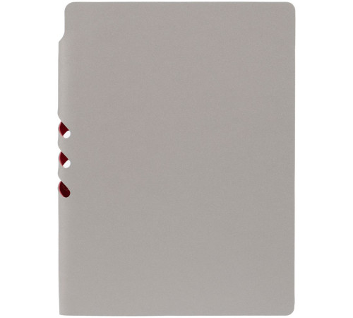 Ежедневник Flexpen, недатированный, серебристо-красный