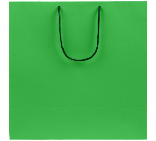 Пакет бумажный Porta L, зеленый