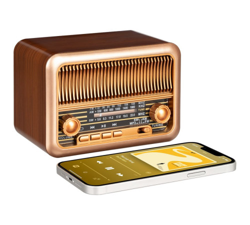 Bluetooth-колонка с радио Beatnik, коричневая