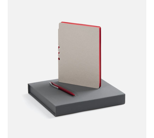 Набор Flexpen Grey, красный