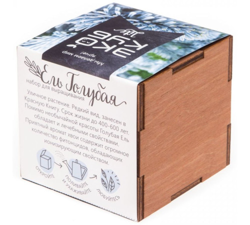 Набор для выращивания «Экокуб Lite», ель голубая