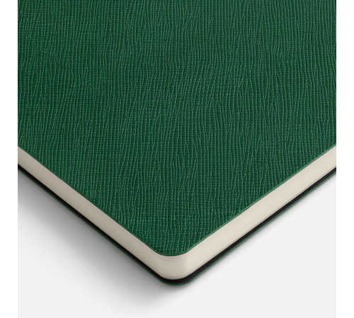 Ежедневник Lungo, недатированный, зеленый