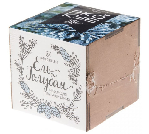 Набор для выращивания «Экокуб Lite», ель голубая