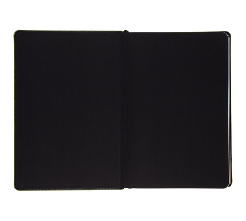 Ежедневник Alanis, недатированный, черный с зеленым