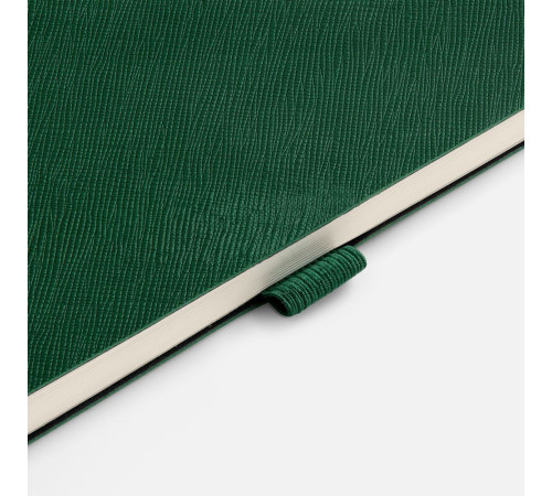 Ежедневник Lungo, недатированный, зеленый