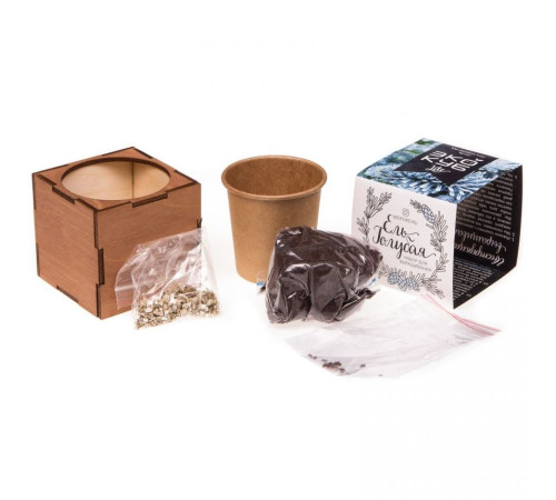 Набор для выращивания «Экокуб Lite», ель голубая