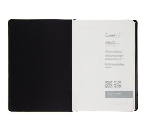 Ежедневник Alanis, недатированный, черный с зеленым