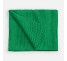 Шарф Yong, зеленый