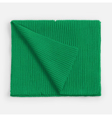 Шарф Yong, зеленый