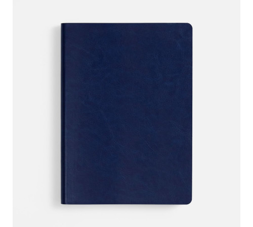 Ежедневник Nebraska Flex, недатированный, синий с серебром