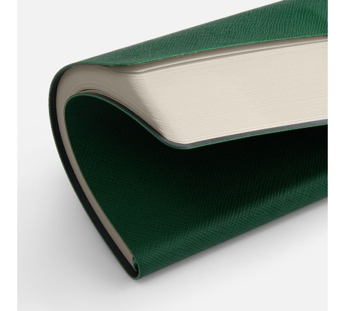 Ежедневник Lungo, недатированный, зеленый