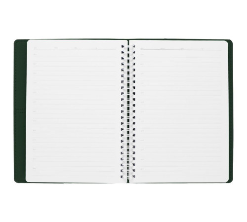 Ежедневник Spring Touch, недатированный, зеленый