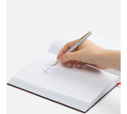 Ручка шариковая Euro Gold, серая