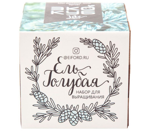 Набор для выращивания «Экокуб Lite», ель голубая