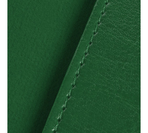 Обложка для паспорта Nebraska, зеленая