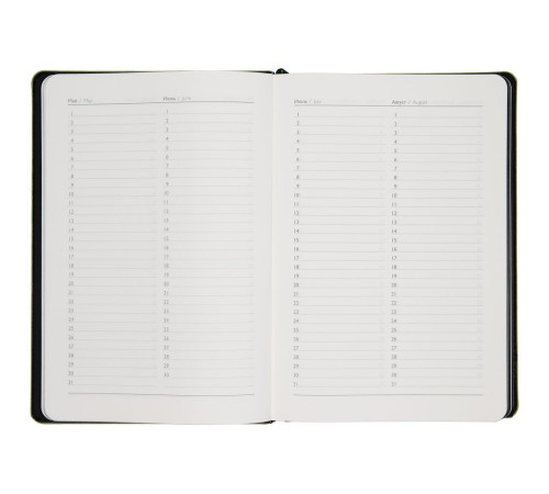 Ежедневник Alanis, недатированный, черный с зеленым