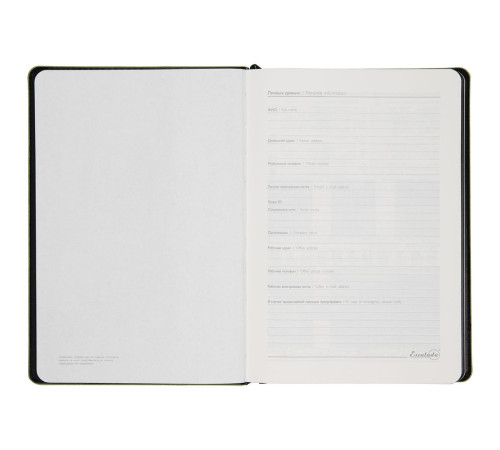 Ежедневник Alanis, недатированный, черный с зеленым