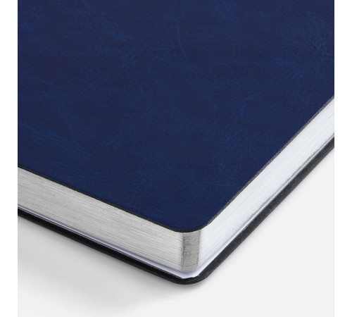 Ежедневник Nebraska Flex, недатированный, синий с серебром