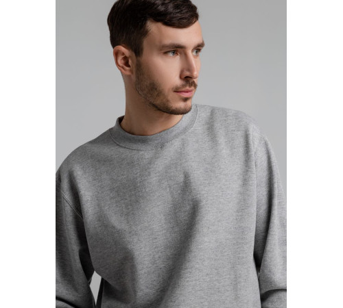 Толстовка Spider 260, серый меланж