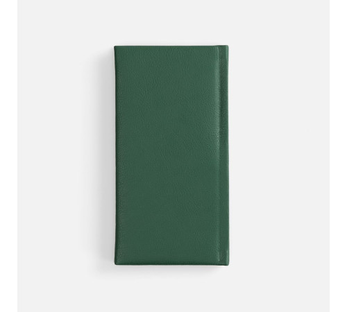 Еженедельник Baza, датированный, зеленый