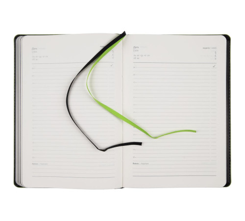 Ежедневник Alanis, недатированный, черный с зеленым