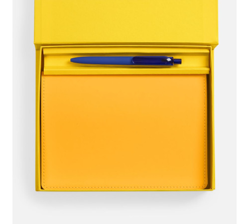 Набор Spring Shall, синий с желтым