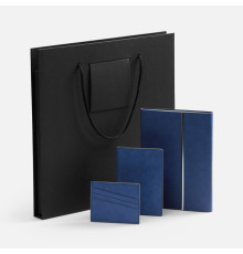 Набор Petrus Flap, синий