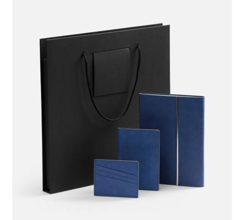 Набор Petrus Flap, синий