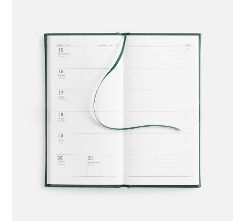 Еженедельник Baza, датированный, зеленый