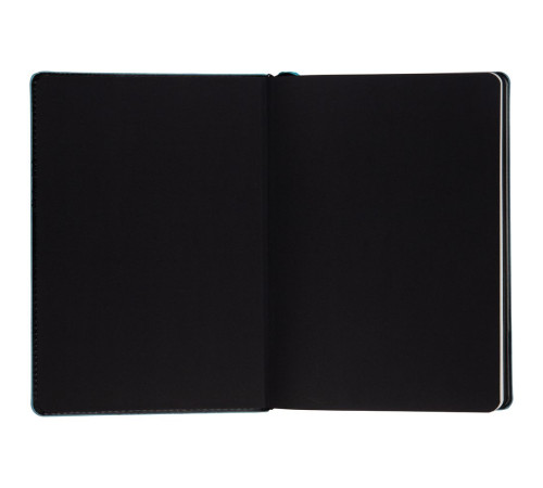 Ежедневник Alanis, недатированный, черный с голубым