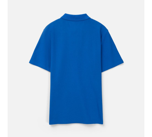 Рубашка поло унисекс Tervise, ярко-синяя