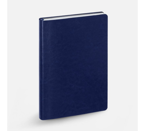 Ежедневник Nebraska Flex, недатированный, синий с серебром