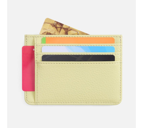 Чехол для карт Unison, светло-зеленый