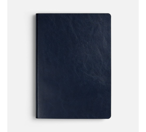Ежедневник Doppio, недатированный, синий