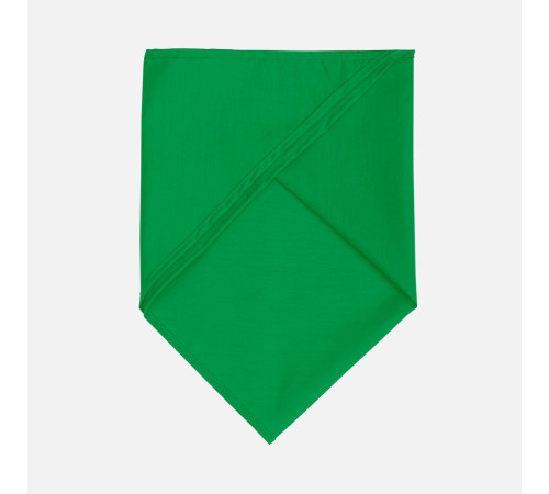 Шейный платок Bandana, ярко-зеленый
