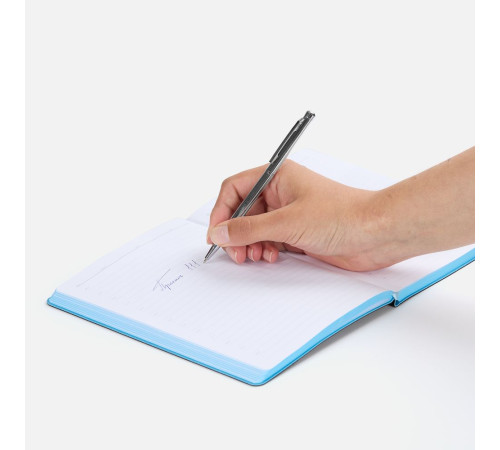 Ручка шариковая Hotel Ferra, серебристая