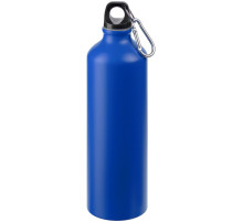 Бутылка для воды Funrun 750, синяя