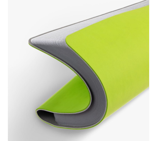 Ежедневник Flexpen Mini, недатированный, светло-зеленый