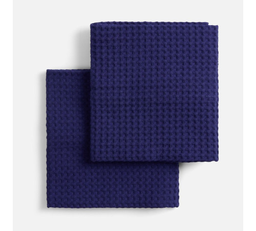 Набор кухонных полотенец Good Wipe, синий