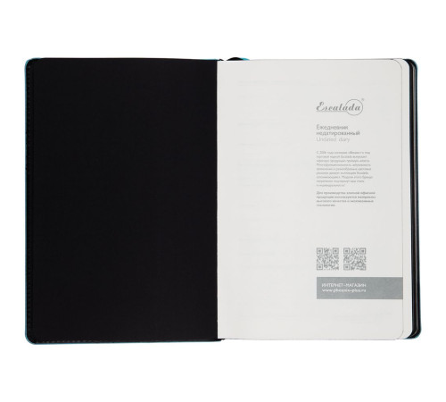 Ежедневник Alanis, недатированный, черный с голубым
