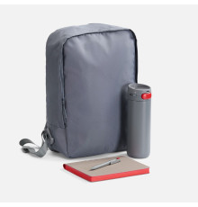 Набор Flexpen Travel, серый с красным