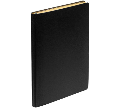 Ежедневник Nebraska Flex, недатированный, черный с золотистым