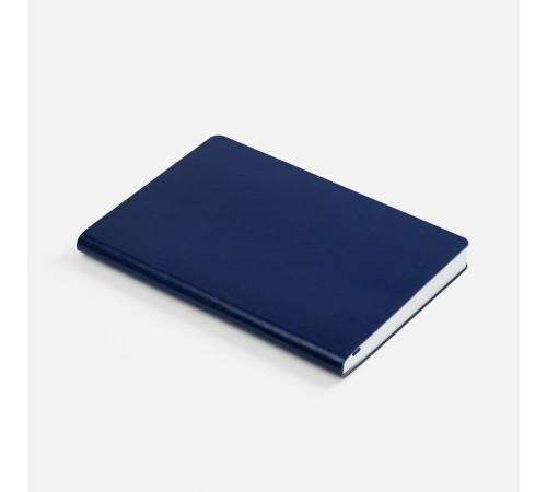 Ежедневник Nebraska Flex, недатированный, синий с серебром