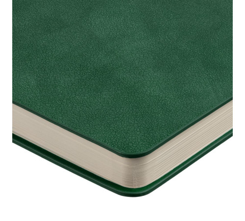 Ежедневник Kuka, недатированный, зеленый